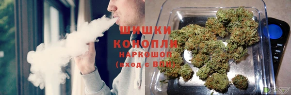MESCALINE Елизово