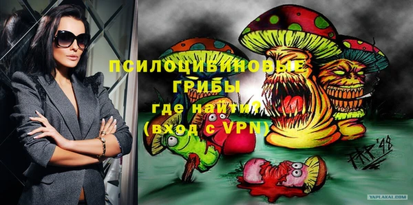 молекула духа Елабуга