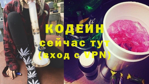 молекула духа Елабуга