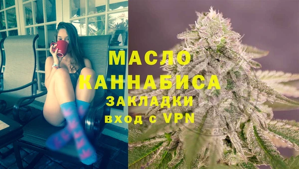 молекула духа Елабуга