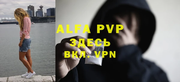 молекула духа Елабуга