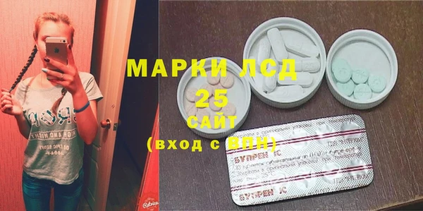 молекула духа Елабуга