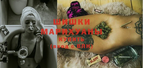 молекула духа Елабуга