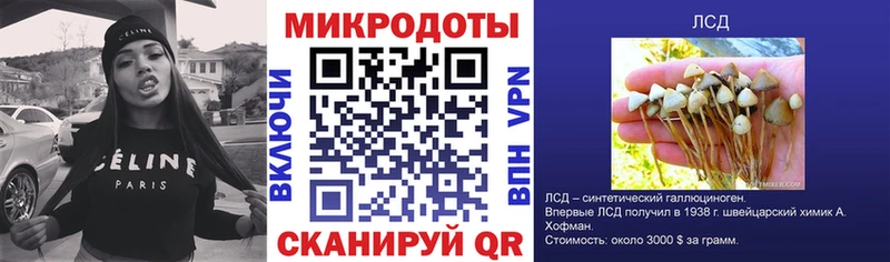 Галлюциногенные грибы Psilocybe  Купить закладки  Козельск 